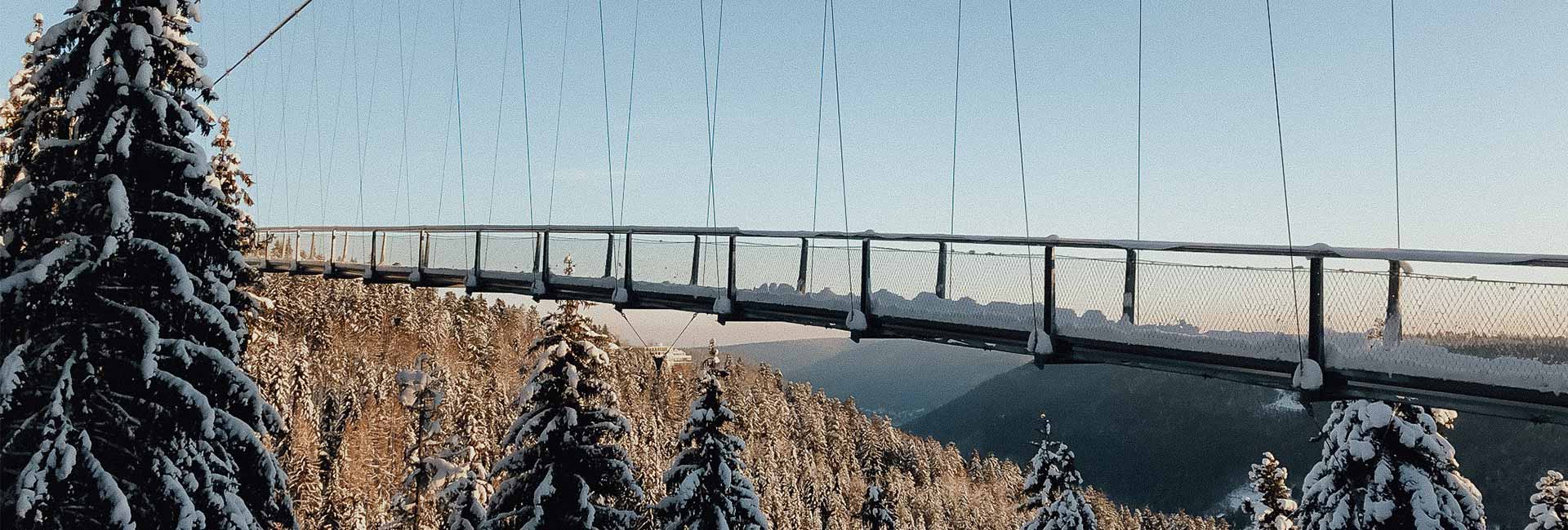 Snow-covered WILDLINE suspension bridge in winter