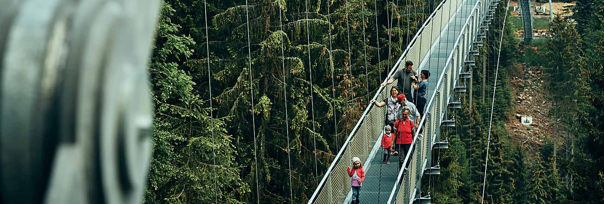 Les visiteurs traversent le pont suspendu WILDLINE
