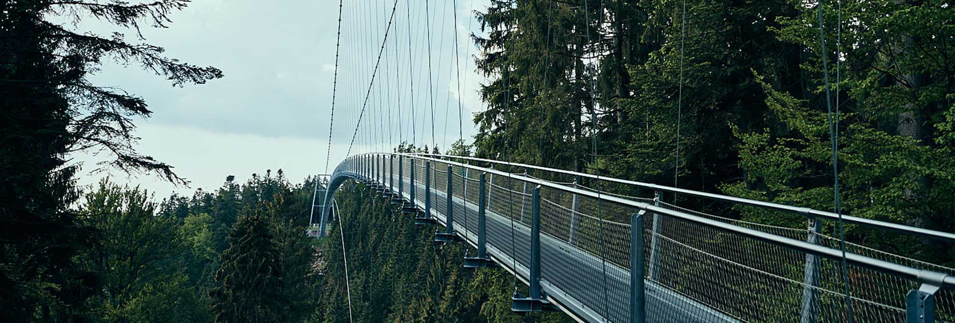 Ansicht WILDLINE Hängebrücke von unten Aussicht Schwarzwald