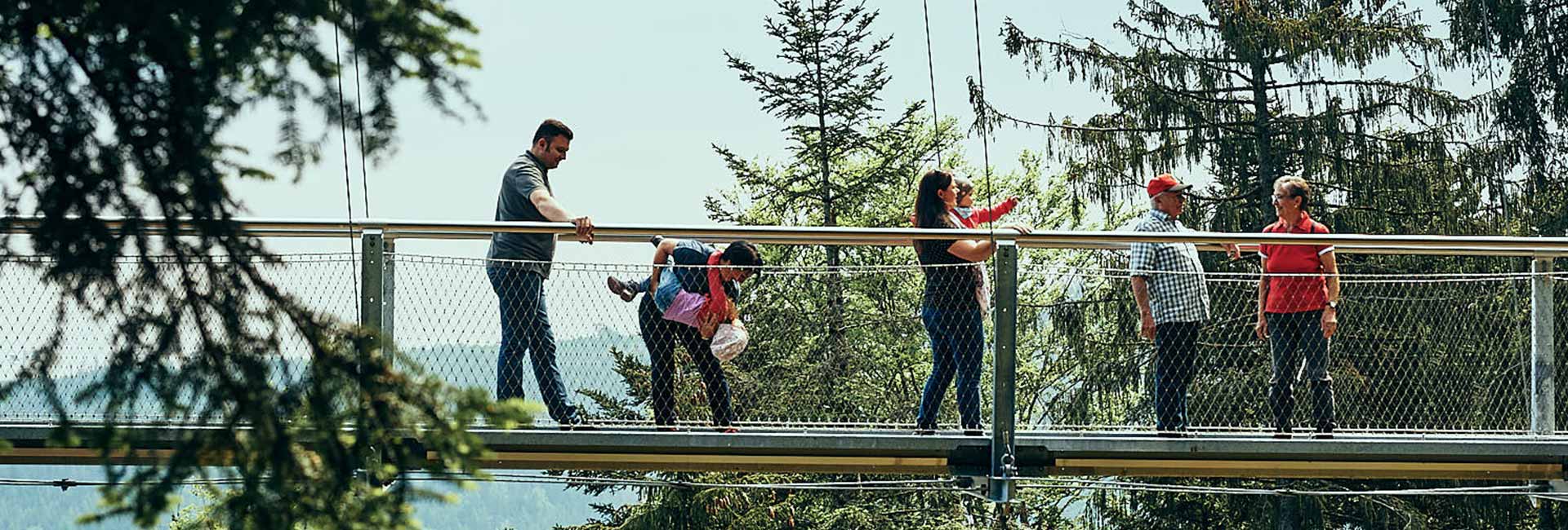 Familie auf der WILDLINE Hängebrücke im Sommer