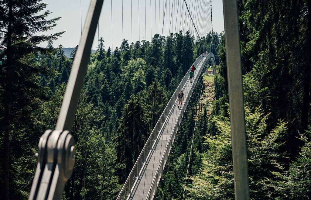 WILDLINE Suspension Bridge from above View Black Forest
