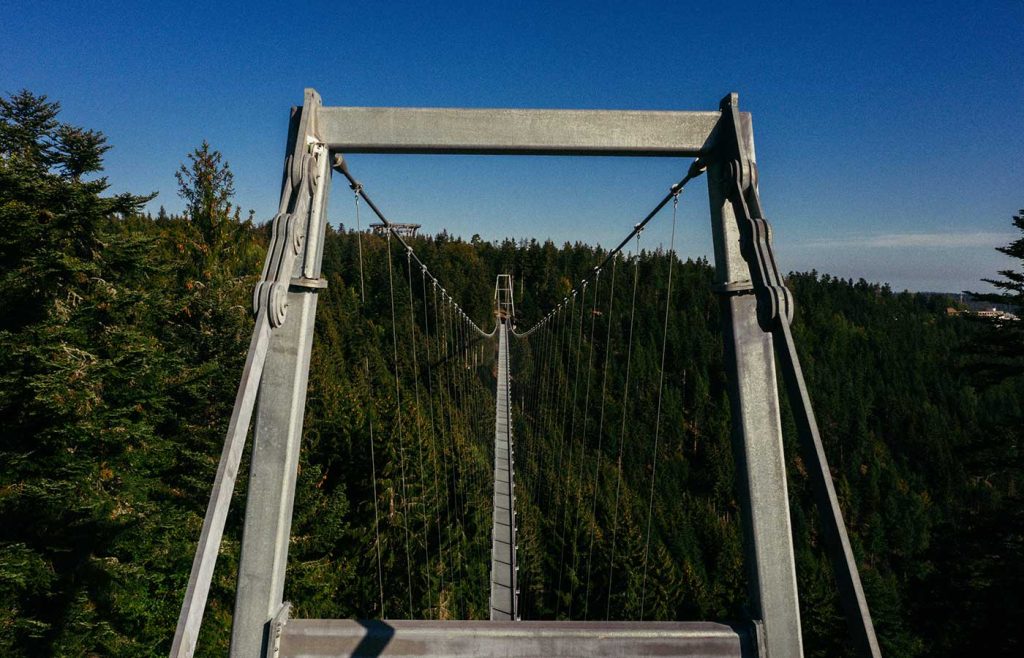 WILDLINE Hängebrücke Ansicht Details Pylonen