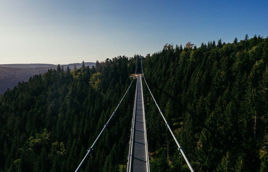 Pont suspendu WILDLINE vu d'en haut Vue sur la Forêt-Noire