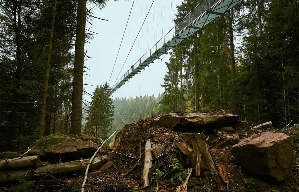 WILDLINE Hängebrücke Ansicht Herbst Aussicht Schwarzwald