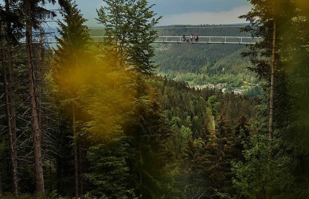 WILDLINE Hängebrücke Ansicht Herbst Aussicht Schwarzwald