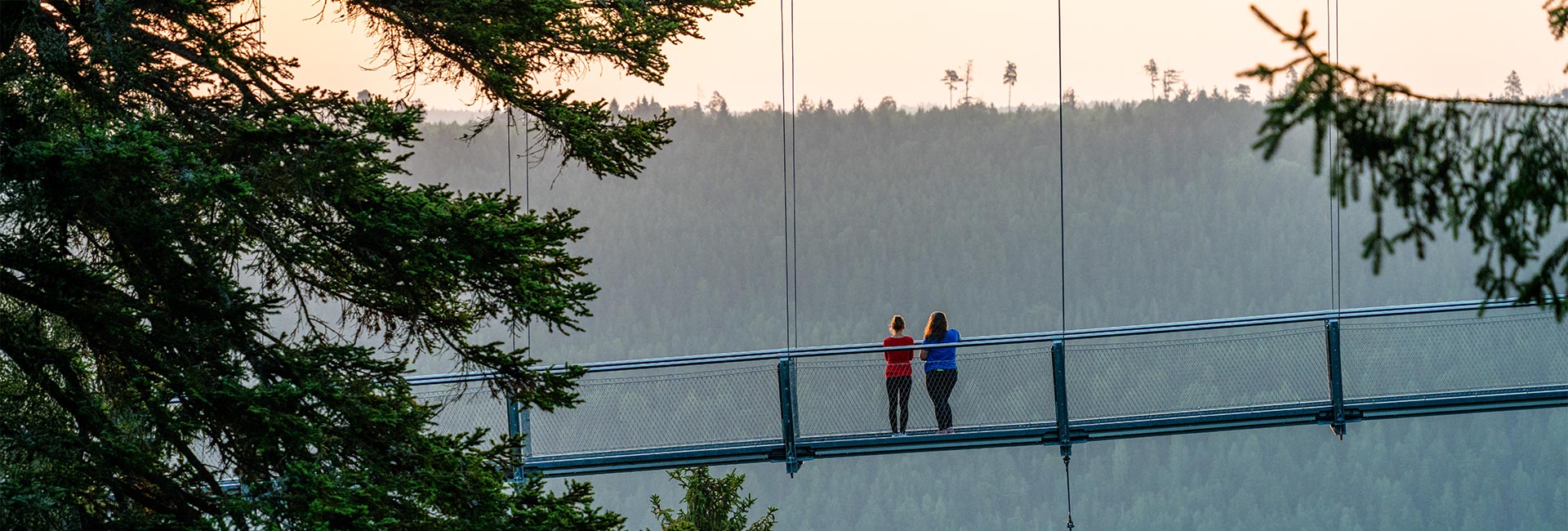 Blick auf zwei Frauen auf der Wildline Hängebrücke vor Tannenwald mit Sonnenuntergang
