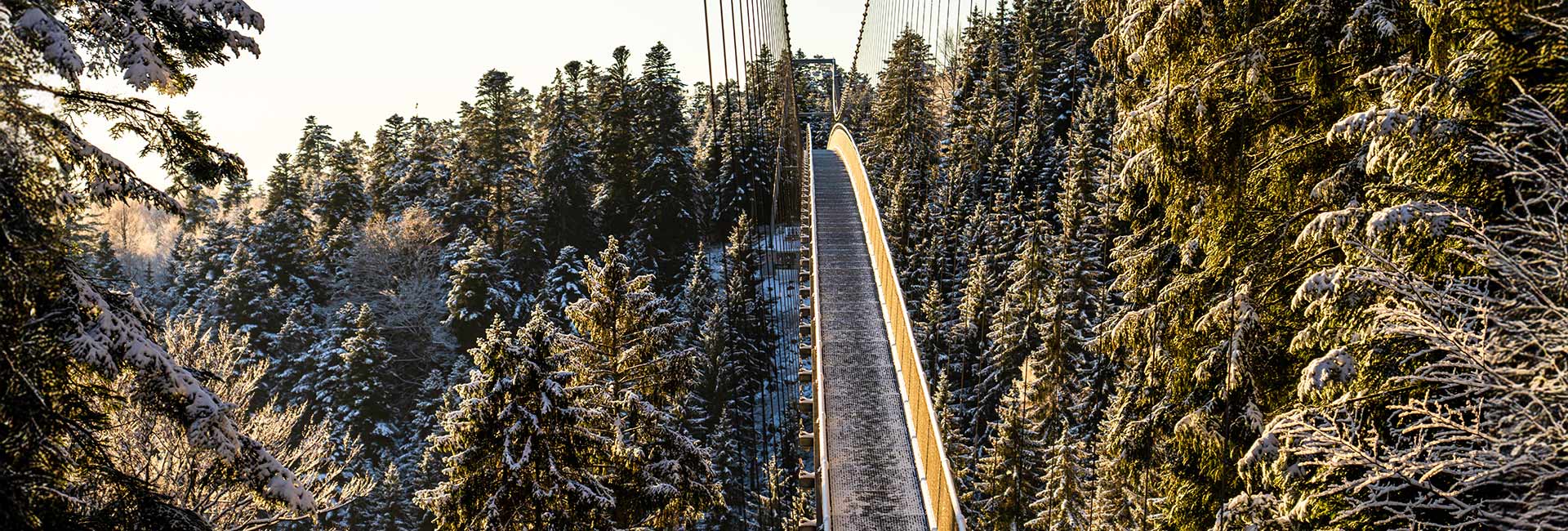 Ansicht auf die Wildline Hängebrücke im Winter und rundherum Tannenwald mit Schnee