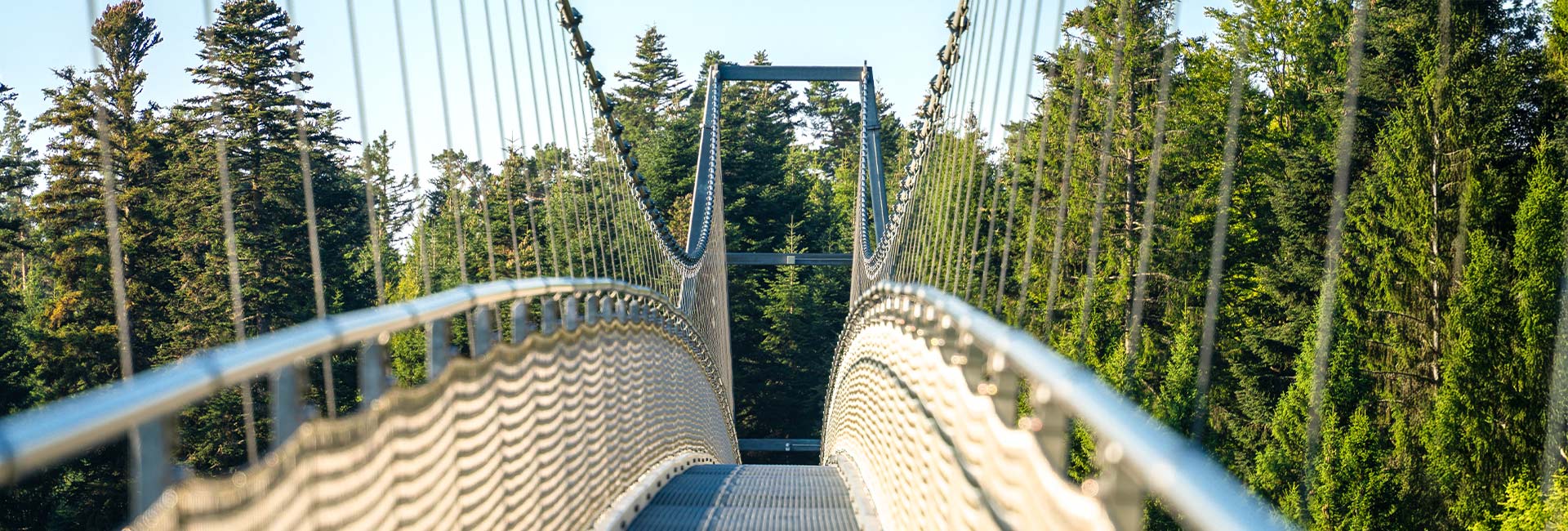 Blick auf die Hängebrücke Wildline im Sommer mit Sonnenschein