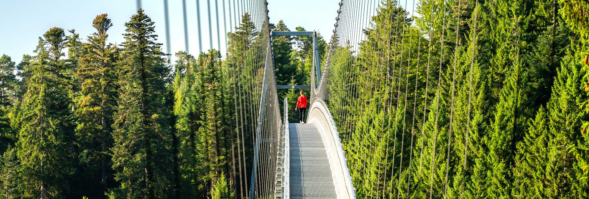 Blick auf die Hängebrücke mit einer Frau und rotem Pullover, rundherum frische grüne Tannenwälder in sonnenschein