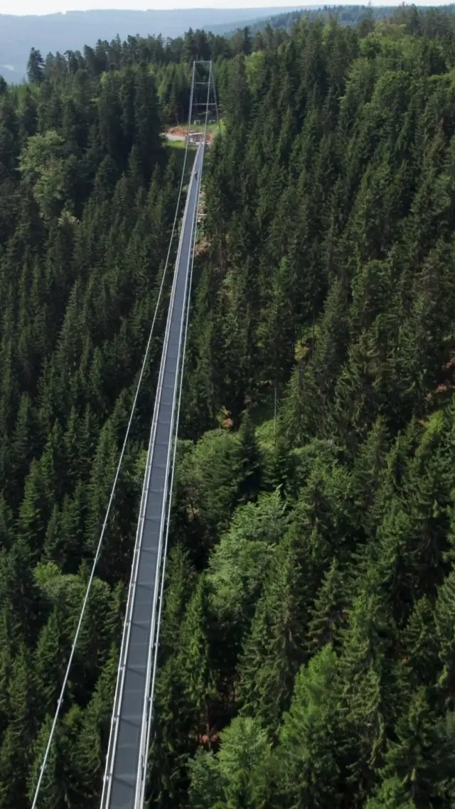 Bereit für Höhenrausch im Schwarzwald? 🌲🌉 Die WILDLINE schwebt über grüne Wipfel, umgeben von atemberaubender Natur! 😍💚 Lass dich vom Abenteuer packen – das musst du erleben! ✨