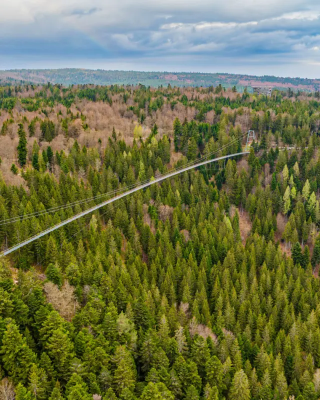 Schwebe über dem Schwarzwald und entdecke das Glücksgefühl von Freiheit und Natur pur. 🌲
Stell dir vor, wie du auf der WILDLINE Hängebrücke stehst, die frische Luft einatmest und die unendliche Weite über die Baumwipfel hinweg bewunderst. Diese Aussicht ist nicht nur ein Blick in die Ferne, sondern ein echtes Abenteuer, das deine Sinne weckt und dein Herz höherschlagen lässt. 🌉💓
Bist du bereit für diesen Nervenkitzel und das einzigartige Naturerlebnis?
📷 @lightworkart.de
#WILDLINE #Hängebrücke #SchwarzwaldErleben #AbenteuerPur #Naturerlebnis