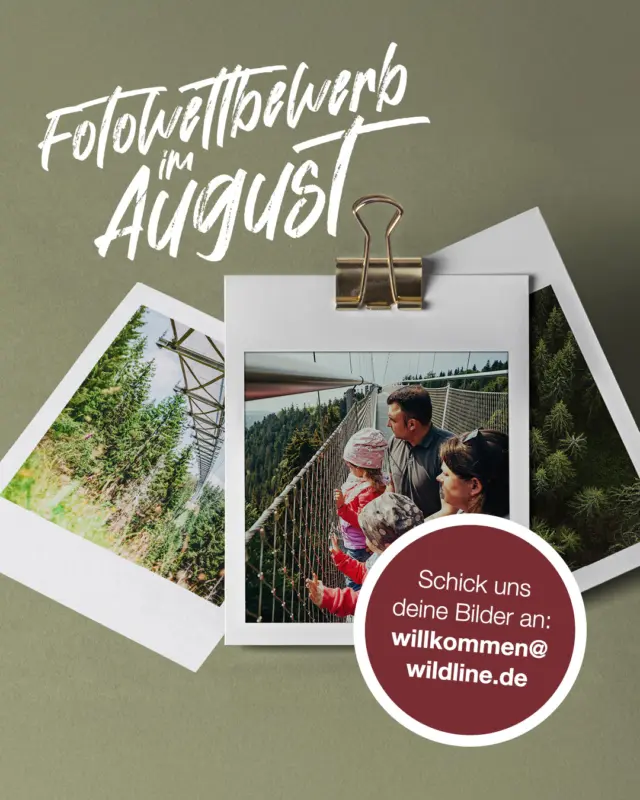 WILDLINE sucht deine schönsten Glücksmomente auf der Hängebrücke! ✨
Teile deine einzigartigen Eindrücke von der spannenden WILDLINE in Bad Wildbad mit uns – ob spektakuläre Aussichten, Naturerlebnisse oder kreative Schnappschüsse. Schick dein Lieblingsbild bis zum 31. August 2025 an willkommen@wildline.de und sichere dir die Chance auf tolle Preise! 📸
Bist du bereit, dein Abenteuer mit der WILDLINE Community zu teilen? Welches Bild beschreibt für dich das pure Glück auf der Brücke? 🌉🌲
#WILDLINE #Glücksgefühl #AbenteuerPur #Hängebrücke #BadWildbad