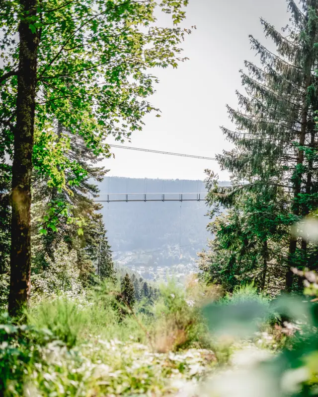 Sommerfrisch & Abenteuerlust: Auf dem Berg wartet die WILDLINE auf deinen Sprung ins kühle Glück! 🌞🌲
Ob Sonnenhitze oder Alltagsstress – hier oben gibt’s pure Erfrischung, Nervenkitzel und ein Naturerlebnis, das deinen Sommer neu definiert! Die WILDLINE spannt sich wie ein Drahtseil aus Freiheit zwischen Himmel und Tal und schenkt dir Gänsehautmomente mit Aussichtsgarantie. 💙🌉
Bereit für das nächste Level Sommerfrische? Wer steigt mit uns auf und genießt den Wind in Bad Wildbad? 💭✨
#WILDLINE #Sommerfrische #Bergabenteuer #Naturgenuss #Abkühlung #Schwarzwald #Hängebrücke #Adventuretime