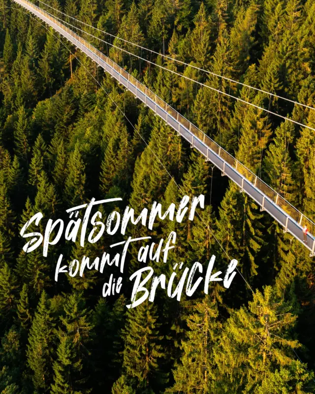 Spätsommer-Feeling pur auf der WILDLINE Hängebrücke erleben.

Der frische Wind des Schwarzwaldes kitzelt deine Haut, während du über die beeindruckende Spannweite der Brücke schwebst.

Genieße das einzigartige Naturerlebnis und tanke neue Energie in der klaren Luft von Bad Wildbad. Das Glücksgefühl, wenn du die Welt von oben siehst – das musst du erleben!

Schnapp dir dein Ticket und sei Teil dieses Abenteuers! 

👉🏼👉🏼👉🏼 Hier Tickets für die WILDLINE bestellen: https://wildline.de/tickets ODER schaue dir den Link in der Bio an.

📷 @alex.kijak 

#Spätsommer #SchwarzwaldAbenteuer #WILDLINE #Naturerlebnis #Hängebrücke