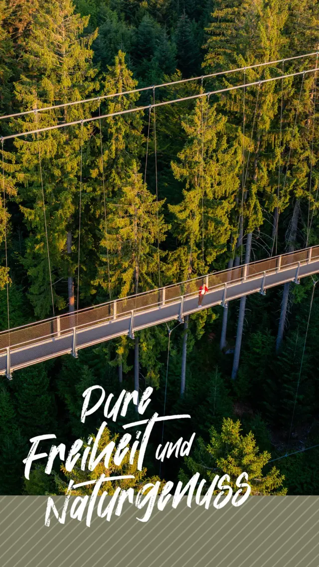 Start am Pylon, dann nur noch freie Luft, pure Spannweite und Wald soweit das Auge reicht. Nervenkitzel trifft Naturerlebnis – das musst du erleben! 🌉🌲🪂🎥✨👀

Ton an, anschauen, bis zum Drohnen-Loop bleiben und das Glücksgefühl mitnehmen! 🔊🚶

@alex.kijak 

Bild/Video: Alexander Kijak 

#WILDLINE #BadWildbad #Hängebrücke #Schwarzwald #Naturerlebnis #Abenteuer #Nervenkitzel #Drohne #Spannweite #Bucketlist #DasMusstDuErleben