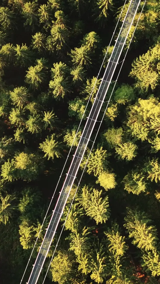 Nutz den goldenen Herbst und komm auf die Brücke 😉🍁

Schwarzwald unter dir, endlose Wälder um dich – mittendrin die WILDLINE. Atemberaubende Sicht, pures Naturerlebnis und ein Hauch Nervenkitzel – bereit fürs Glücksgefühl? 🌲🌲🌉✨🦅🎥👀

---
Bildnachweis: Alexander Kijak

#WILDLINE #BadWildbad #Schwarzwald #Hängebrücke #Naturerlebnis #Abenteuer #Nervenkitzel #Atemberaubend #Drohne #Bucketlist #DasMusstDuErleben
