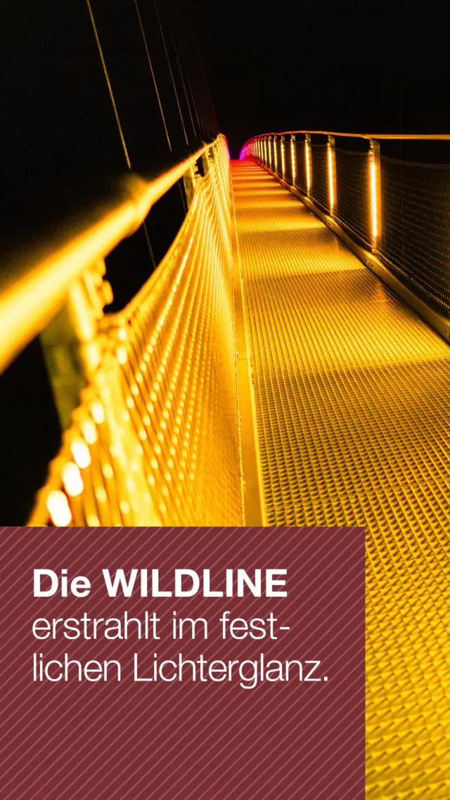 Premiere auf der WILDLINE vom 29.11 bis 16.02: Lichterzauber immer Do–So, 16-20 Uhr, in den Weihnachtsferien täglich (außer 24.12.) ✨🌲❄️ Wer begleitet dich über die leuchtende Brücke? 🤩 #WILDLINE #Lichterzauber #Winterabenteuer