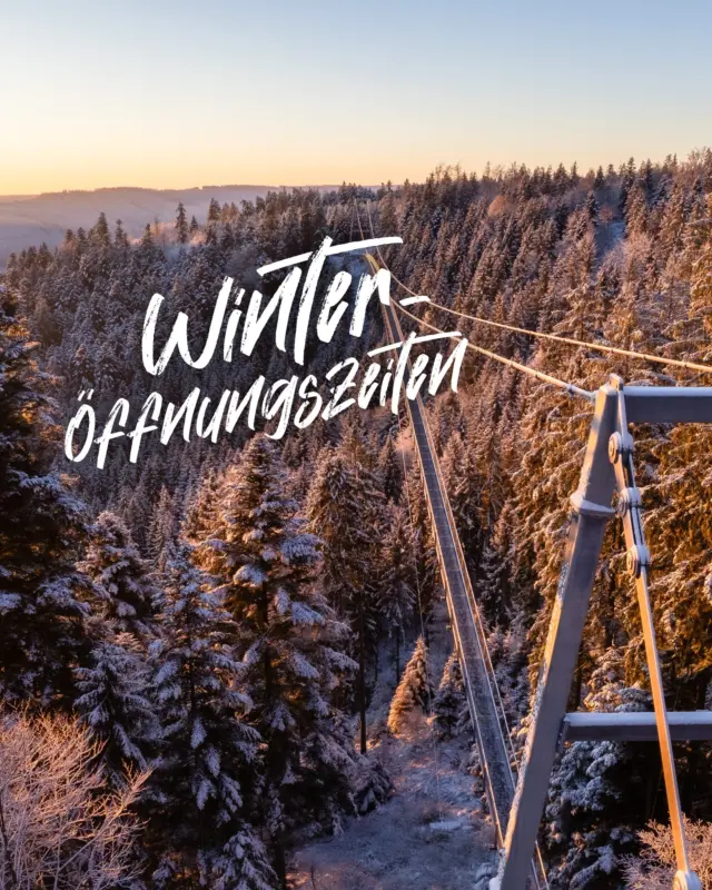 Winterzauber pur ❄️ – entdecke die WILDLINE in ihrer stillsten und schönsten Form!
 
Die Hängebrücke in Bad Wildbad erstrahlt (bald) im Winterkleid und bietet dir ein unvergleichliches Naturerlebnis ohne Trubel. Genieße die frische Luft und das Knirschen des Schnees unter deinen Füßen – Nervenkitzel inklusive! 

Die WILDLINE hat täglich von 9 bis 16:30 Uhr geöffnet. 
Sichere dir dein Ticket online oder vor Ort und erlebe winterliches Abenteuer. 

👉🏼 Hier Tickets bestellen: https://wildline.de/tickets oder Link in der Bio. 

#WILDLINE #Winterabenteuer #Naturerlebnis #Hängebrücke #BadWildbad