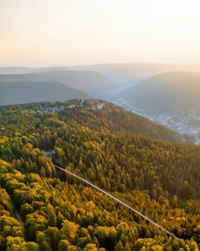 🍂🍁🌟 Herbst-Feeling pur auf der WILDLINE: Erlebe den Schwarzwald in seinen buntesten Farben!

Die bunten Blätter rascheln unter deinen Füßen, während du die atemberaubende Aussicht von der Hängebrücke genießt. Spüre den Nervenkitzel und das Glücksgefühl, wenn die Sonne durch das goldene Blätterdach blinzelt – das musst du erleben! Nutze die Gelegenheit, um mitten in der Natur neue Energie zu tanken und den Alltag hinter dir zu lassen.
Bist du bereit für dein nächstes Abenteuer in Bad Wildbad? Teile deine schönsten Herbstmomente mit uns! 🍂🍁🌟

👉🏼👉🏼👉🏼 Hier Tickets für die WILDLINE bestellen: https://wildline.de/tickets ODER schaue dir den Link in der Bio an.

#HerbstAbenteuer #WILDLINE #SchwarzwaldErleben #NaturPur #Glücksgefühl