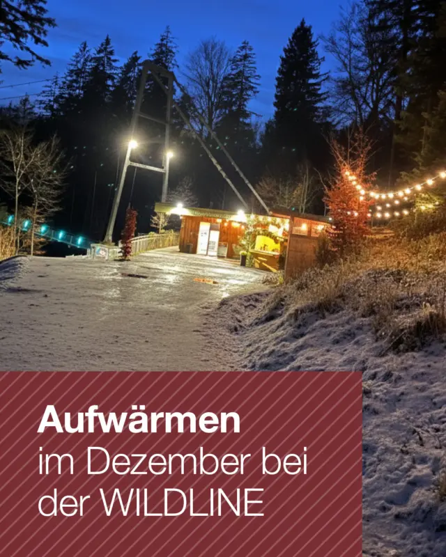 ✨ HÜTTEN-HIGHLIGHTS IM DEZEMBER AN DER WILDLINE ✨

Der Dezember wird lecker – merk dir schon mal diese Termine an unserer Verkaufshütte am Besucherzentrum vor:

📅 18. + 19. Dezember – Fünf-Täler-Schule Calmbach
👉 Punsch, Glühwein und frisch zubereitete Waffeln warten auf dich 🧇☕

📅 20. + 21. Dezember – Bewirtung durch WILDLINE
👉 Punsch und Glühwein für deine Genuss-Pause vor oder nach dem Nervenkitzel auf der Hängebrücke 🍷❄️

📅 25. – 27. Dezember – Bewirtung durch Martina Schwarz
aus dem „Schnick Schnack“ Second Hand Shop in der Fußgängerzone in Bad Wildbad
👉 Punsch, roter und weißer Glühwein – perfekt für dein Winter-Glücksgefühl 🎄🥂
Während du den Lichterzauber rund um die WILDLINE genießt, sorgt unsere Hütte für warme Hände und leuchtende Augen.

Wen nimmst du mit zu deinem Genussmoment auf der WILDLINE? 😋

👉 👉 👉  Weiter Infos hier https://wildline.de ODER check den Link in der Bio.

#wildline #badwildbad #lichterzauber #genussmomente #punschzeit #glühweinliebe