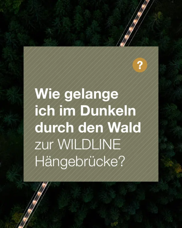 WILDLINE Lichterzauber – FAQ: Wie gelange ich im Dunkeln durch den Wald zur WILDLINE Hängebrücke?

Keine Sorge, dein Weg zur WILDLINE ist auch im Dunkeln sicher und magisch ✨🌲
Vom Parkplatz und der Bergbahn aus sind alle Wege bis zum Baumwipfelpfad gut beleuchtet. Von dort aus folgst du dem Märchenpfad – in etwa 10 Minuten erreichst du zu Fuß die WILDLINE Hängebrücke. Der Pfad ist mit einer rund 1 km langen Lichterkette geschmückt, sodass du entspannt und sicher hin- und zurückgehen kannst 💡

🔹 Beleuchtung:
Lichterkette am Märchenpfad: leuchtet bis 20:30 Uhr
So bleibt genug Zeit, gemütlich zurück zum Parkplatz oder zur Bergbahn zu kommen

🔹 Bergbahn:
Die letzte Bergbahn fährt um 20:30 Uhr 🚠

🔹 Wichtige Hinweise während des Lichterzaubers:
Gehe die WILDLINE am besten hin und zurück auf demselben Weg
Verlasse die Brücke auf der Südseite nicht, dort sind die Waldwege nicht beleuchtet 🌌

Trage stabiles, sicheres Schuhwerk – so genießt du dein Abenteuer komfortabel und ohne Stress 👟

Kurz gesagt: Sichere Wege, leuchtender Märchenpfad, klare Zeiten – du kannst dein Abendabenteuer an der WILDLINE voll auskosten ✨🌙🌲

#WILDLINE #Lichterzauber #WILDLINELichterzauber #Hängebrücke #BadWildbad #Schwarzwald #Märchenpfad #Lichterkette #Abendabenteuer #Lichtzauber #Naturerlebnis #Familienausflug #Ausflugstipp #Brückenerlebnis #Nervenkitzel #Walderlebnis #Lichtermeer #Winterzauber