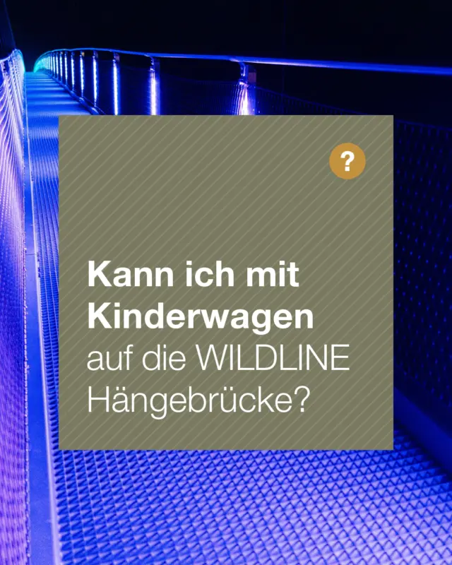 Lichterzauber an der WILDLINE – FAQ: Kann ich mit Kinderwagen auf die WILDLINE Hängebrücke?

Ja, dein Abenteuer auf der WILDLINE ist auch mit Kinderwagen möglich – sogar während des Lichterzaubers ✨👶

Damit alles reibungslos und sicher abläuft, melde dich bitte vor dem Besuch der Brücke im Besucherzentrum an der Kasse. Der Zutritt mit Kinderwagen erfolgt über eine separate Türe, die nur vom Team vor Ort geöffnet werden kann.

Bitte beachte:
- Die Anzahl der Kinderwagen ist begrenzt 
- Es kann daher zu kurzen Wartezeiten kommen ⏳ 

Sprich das Personal vor Ort einfach an – das Team hilft dir gerne weiter und zeigt dir den richtigen Zugang 💬

So wird dein Besuch mit Kinderwagen auf der WILDLINE entspannt, sicher und unvergesslich 🌙🌲

✨ Lichterzauber – alle Zeiten im Überblick:
- Beleuchtete WILDLINE bis 16.02.2026 
- Immer Donnerstag bis Sonntag: 16:00 – 20:00 Uhr 
- Vom 29.12.2025 – 11.01.2026: täglich 16:00 – 20:00 Uhr 

#WILDLINE #Lichterzauber #BadWildbad #Hängebrücke #Naturerlebnis #Familienzeit #Kinderwagenfreundlich #Abenteuer #Glücksgefühl #Ausflugstipp #Schwarzwald