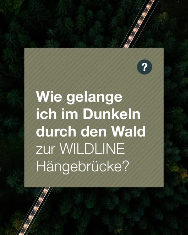 Lichterzauber an der WILDLINE – FAQ: Wie gelange ich im Dunkeln durch den Wald zur WILDLINE Hängebrücke?

Keine Sorge – dein Weg zur WILDLINE ist auch im Dunkeln sicher und einfach zu finden ✨🌲

Vom Parkplatz oder der Bergbahn aus sind alle Wege bis zum Baumwipfelpfad gut beleuchtet. Von dort folgst du dem Märchenpfad – in etwa 10 Minuten erreichst du zu Fuß die WILDLINE Hängebrücke. Der Pfad ist mit einer rund 1 km langen Lichterkette geschmückt, sodass du entspannt und sicher hin- und zurückgehen kannst 💡

🔹 Beleuchtung
• Lichterkette am Märchenpfad: leuchtet bis 20:30 Uhr
• So bleibt genug Zeit, gemütlich zurück zum Parkplatz oder zur Bergbahn zu kommen

🔹 Bergbahn
• Die letzte Bergbahn fährt um 20:30 Uhr 🚠

🔹 Wichtige Hinweise während des Lichterzaubers
• Gehe die WILDLINE am besten hin und zurück auf demselben Weg
• Verlasse die Brücke auf der Südseite nicht – dort sind die Waldwege nicht beleuchtet 🌌
• Trage stabiles, sicheres Schuhwerk – so genießt du dein Abenteuer komfortabel und ohne Stress 👟

Kurz gesagt: Sicher beleuchtete Wege, leuchtender Märchenpfad, klare Zeiten – du kannst dein Abendabenteuer an der WILDLINE voll auskosten ✨🌙🌲

#WILDLINE #BadWildbad #Hängebrücke #Lichterzauber #Märchenpfad #Abendabenteuer #Schwarzwald #Naturerlebnis #Nervenkitzel #Glücksgefühl #Familienausflug #Ausflugstipp #Brückenerlebnis #Sommerbergbahn