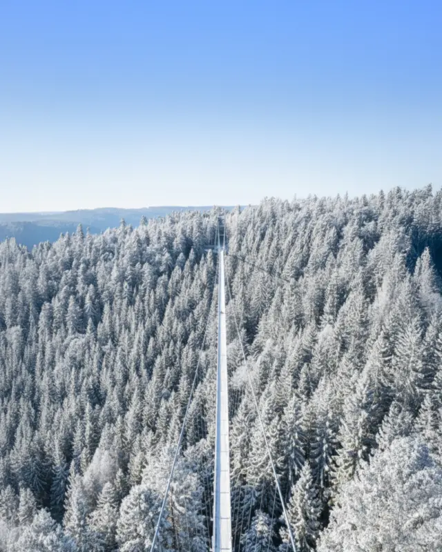 Magische Feiertage auf der WILDLINE: Genieße Winterabenteuer in luftiger Höhe! 🎄🌉✨

Über Weihnachten und Silvester ist die WILDLINE Hängebrücke täglich von 9:00 bis 16:30 Uhr für dich geöffnet – nur am 24.12. bleibt das Besucherzentrum geschlossen. Sichere dir deine Tickets ganz easy am Automaten an beiden Brückenseiten und erlebe die Lichterzauber-Atmosphäre im Schwarzwald.

Tipp am Rande: Warme Kleidung und festes Schuhwerk sind ein Muss für das volle Glücksgefühl!

Lust auf einen einzigartigen Jahreswechsel? 🤩

#WILDLINE #Feiertage #Winterabenteuer #Hängebrücke #Naturerlebnis #Weihnachten2025 #Lichterzauber