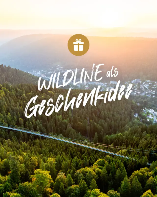 Verschenk Nervenkitzel und Glücksmomente – die WILDLINE als magisches Weihnachtsgeschenk! 🎁✨

Gemeinsam Abenteuer erleben und über die Hängebrücke schweben: Ob bei Tageslicht oder im Lichterzauber, WILDLINE schenkt euch Erinnerungen, die bleiben. 

Gutscheine bekommst du easy online – ausdrucken, liebe Botschaft dazu und schon ist dein Geschenk bereit für das große Staunen! 🤩🌲💌
Worauf wartest du?

👉🏼👉🏼👉🏼 Hier Gutscheine für die WILDLINE bestellen: https://wildline.de/gutscheine ODER schaue dir den Link in der Bio an.

#WILDLINE #Geschenkidee #Weihnachten2025 #Abenteuer #Ausflugstipp #Gutschein #Erlebnisgeschenk