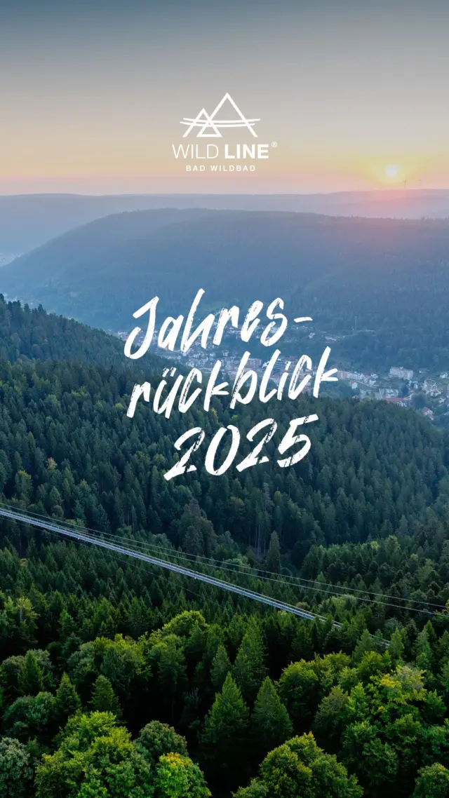 2025 in 48 Sekunden pures Adrenalin: Nervenkitzel, weiche Knie und grenzenlose Ausblicke auf der WILDLINE in Bad Wildbad ❤️🌲✨ Das musst du erleben - ready für dein Glücksgefühl?