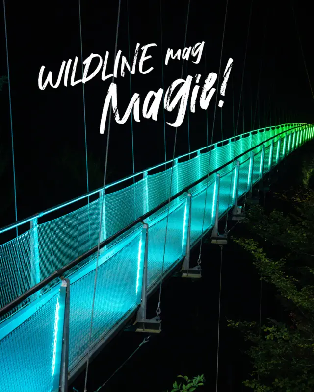 Zeit für einen Winterabend, den du so schnell nicht vergisst? ✨

Der Weg zur WILDLINE wird zum Märchenpfad: Lichterketten säumen deinen Spaziergang durch den Wald, bis sich vor dir die Hängebrücke im farbenprächtigen Glanz auftut 🌌🌲

Über dir der Sternenhimmel, unter dir die Tiefe – dazwischen nur du, das Licht und dieses kribbelnde Glücksgefühl auf der Brücke. Sicher gebaut, technisch beeindruckend und gleichzeitig ein Naturerlebnis, das unter die Haut geht 🌉❄️

Hol dir dein Abend-Abenteuer beim WILDLINE Winterzauber, immer donnerstags bis sonntags von 16 bis 20 Uhr.

ℹ️ Mehr Details: https://wildline.de/events/wildline-winterzauber-3-2/

#WILDLINE #Winterabend #Märchenpfad #Lichterketten #Hängebrücke #Nervenkitzel #TechniktrifftNatur #Lichtmomente #Schwarzwaldliebe #Ausflugsziel #MagischerMoment #Brückenerlebnis