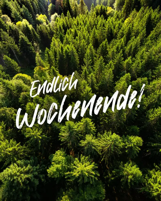 Hoch die Hände – Wochenende! 🙌

Bist du bereit für einen unvergesslichen Adrenalinkick? Tausch dein Sofa gegen puren Nervenkitzel und erlebe auf der WILDLINE in Bad Wildbad ein atemberaubendes Naturerlebnis und Herzklopfen pur! 🌲✨ Spür die Freiheit, während du über die beeindruckende Spannweite unserer Hängebrücke schreitest. 🤩

Wir wünschen dir ein absolut aufregendes Wochenende! Worauf wartest du noch? Dein Abenteuer ist nur einen Schritt entfernt. Komm vorbei und hol dir dein Glücksgefühl! 

👉🏼👉🏼👉🏼 Hier Tickets bestellen: https://wildline.de/tickets ODER schaue dir den Link in der Bio an.

#wildline #badwildbad #wochenende #nervenkitzel #abenteuer #hängebrücke #ausflugsziel #dasmusstduerleben #glücksgefühl #naturerlebnis