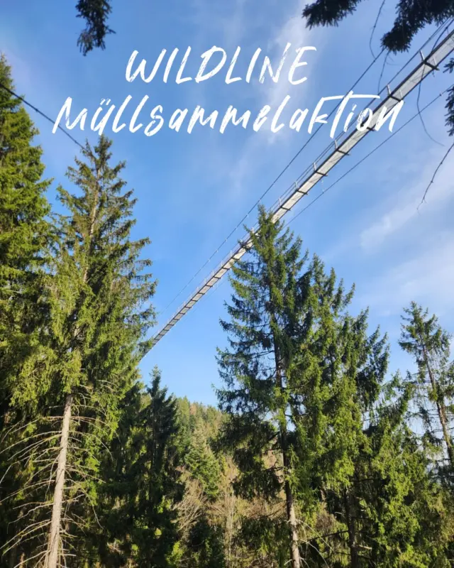 Gemeinsam für eine saubere Natur 🌲🌳

Anfang März haben sich zwei unserer Mitarbeiter in das unwegsame Gelände unter der WILDLINE begeben und Müll eingesammelt. Mit viel Engagement und Teamgeist konnten wir ein starkes Zeichen für Nachhaltigkeit und Verantwortung setzen.💪

Jede eingesammelte Flasche, jede Tüte und jedes Stück Müll macht einen Unterschied – für unsere Natur, unseren Wald und unsere Tierwelt. 🦊🐇

Vielen Dank für den tatkräftigen Einsatz unserer Mitarbeiter! 💚

 #sauberelandschaft #wald #wildine #müllsammelnkannjeder #gemeinsamstark