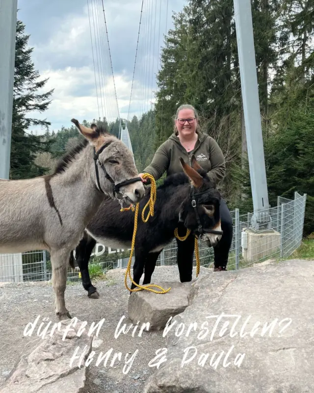 Henry & Paula - die neuen tierischen Mitarbeiter der WILDLINE 

Ein absolut wundervolles Highlight sind ab sofort die beiden WILDLINE Esel. Die beiden werden rund um die Brücke die Grünpflege übernehmen und stehen allen Gästen natürlich für Streicheleinheiten zur Verfügung. 

Die nachhaltige Lösung für Pflege unseren Grünflächen wurde in enger Zusammenarbeit mit der Stadt und dem Forst ausgearbeitet. Wir freuen uns sehr, dass wir damit einen großen Schritt Richtung Nachhaltigkeit und Verantwortung für den Wald gehen können. 

Wer Henry & Paula was gutes tun möchte - Futterangebote findet ihr in unserem Shop. 

 #wildline #wald #esel #breakingnews🚨 #neuemitarbeiter