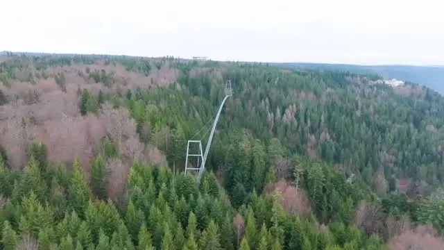 Fliegt mit uns über die Brücke und den Wald 🌲🌸

#wildline #flywithus #hängebrücke #nervenkitzel #schwarzwald