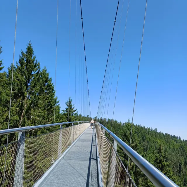 Blauer Himmel und Sonnenschein satt ☀️

Starte jetzt dein Abendteuer auf der WILDLINE! Schritt für Schritt dem Himmel entgegen. Spüre das Kribbeln im Bauch und das leichte Schwanken unter deinen Füßen. Fühle den Wind und die Sonne auf deiner Haut und erlebe unvergessliche Ausblicke, wenn du die WILDLINE überquerst. 🌲

Ein Moment, der nur dir gehört und den du immer in Erinnerung behältst! 🍀

👉 Sicher dir bereits heute dein Ticket online: https://wildline.de/ueber-die-bruecke/eintrittspreise-und-tickets/

 #abendteuer #moment #wald #sonnetanken☀️ #erleben