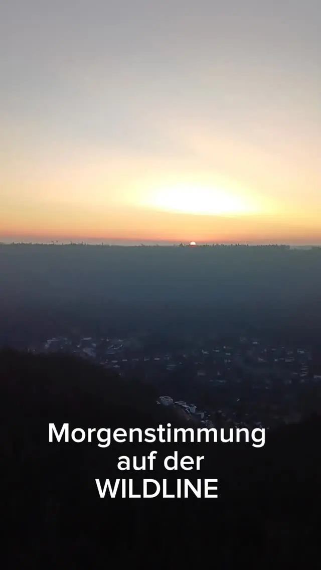 Einen entspannten Start in den Sonntag. ☀️

Mit wundervollen Ausblicken von der WILDLINE auf den Sonnenaufgang. 

#sonntagmorgen #wildline #naturerlebnis #sonnenaufgänge