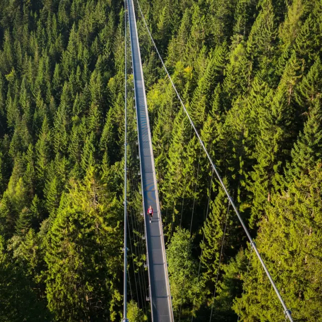 Schritte, die bewegen und Mut erfordern - dein Weg über die WILDLINE bleibt in Erinnerung. 

Herzklopfen trifft auf Naturerlebnis. Ein Moment in dem du ganz bei dir bist, umgeben von intaktem Wald und herrlichem Ausblick. 🌲

Traust du dich? 

👉 Buche dir jetzt schon dein Ticket online: https://wildline.de/ueber-die-bruecke/eintrittspreise-un#sommerberg 

📷Alex Kijak

 #nature #adventure #wildline #travelgermany #wald #sommerberg