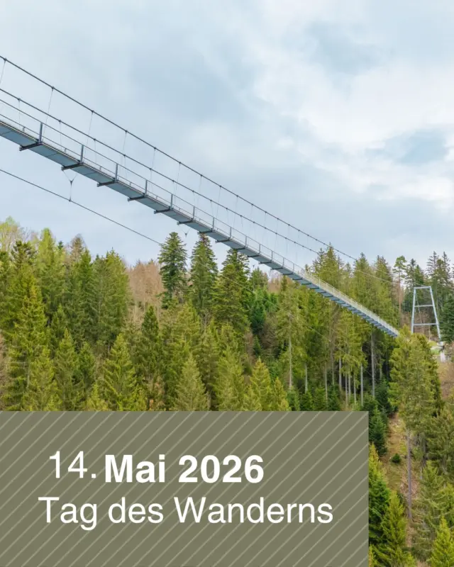 Veranstaltungstipp: Tag des Wanderns in Bad Wildbad 🌲🥾

Erlebt den Sommerberg bei einer geführten Wanderung inkl. Führung über die WILDLINE Hängebrücke. 
Die Tour führt euch durch abwechslungsreiches Gelände und wird von einer Wanderführerin aus der Region geleitet. Die Wanderung ist für Einsteiger und auch für bereits erfahrene Wanderfreunde geeignet. 

📅Termin: 14 Mai 2026, Dauer ca. 4 Stunden - Anmeldung erforderlich 

👉Alle Infos und Anmeldung findet ihr hier: https://www.bad-wildbad.de/de/veranstaltungen/tag-des-wanderns-entdecke-die-wilde-seite-von-bad-wildbad-id_17078

 #tagdeswanderns #sommerberg #badwildbad #wildline #wanderlust