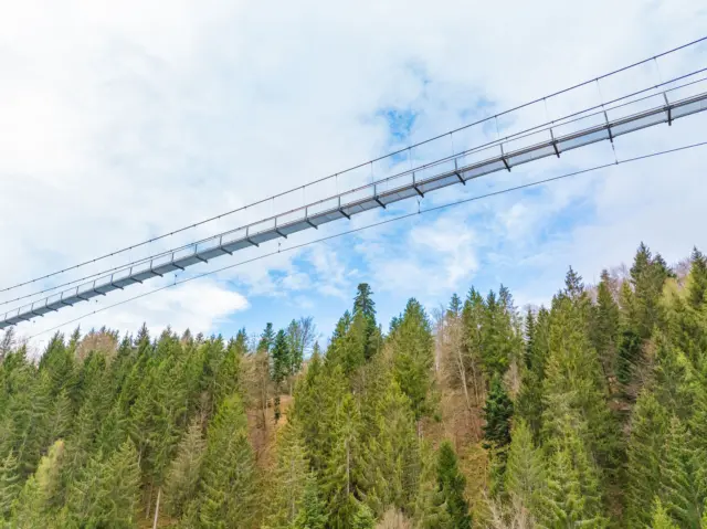 Die Pfingstferien stehen vor der Türe und ihr sucht noch nach Ausflugsmöglichkeiten? 🌲🥾

Auf der WILDLINE erlebt ihr einen perfekten Ausflugstag inklusive Nervenkitzel, Herzklopfen, Natur und Wald. Gemeinsam mit der ganzen Familie, Freunden oder Kollegen geht ihr Schritt für Schritt dem Himmel entgegen und spürt das leichte Schwanken unter euren Füßen. Über dem Wald schwebend erlebt ihr ganz neue Ausblicke und Eindrücke - Erinnerungen die bleiben! 💚

Bucht jetzt schon euer Ticket online: https://wildline.de/ueber-die-bruecke/eintrittspreise-und-tickets/

 #wildline #wald #ausblick #erinnerungen #ausflug #travelgermany