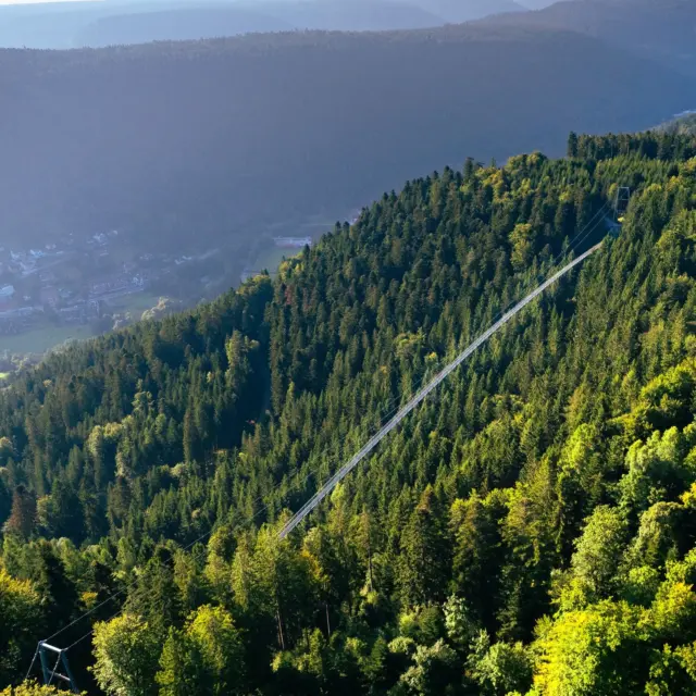 Gute Wetteraussichten und Sonne satt fürs Wochenende! ☀☀

Plant euren Ausflug auf die WILDLINE und erlebt unvergessliche Momente mit euren Liebsten! Gemeinsam geht ihr zuerst dem Himmel entgegen und schwebt dann über den Bäumen und Tannen des Nordschwarzwaldes! 🌲 Genießt den unvergleichlichen Ausblick ins Enztal und auf die umliegende Natur. 💚

Egal ob Groß oder Klein, Jung oder Alt - die WILDLINE schafft Erinnerungen die bleiben. 

Wanderfreunde finden auf dem Sommerberg viele Rundwege für die ganze Familie. 

👉 Sichert euch heute schon eure Tickets online: https://wildline.de/ueber-die-bruecke/eintrittspreise-und-tickets

📷 Alex Kijak 

 #ausfluginsgrüne #naturelovers #badwildbad #hängebrücke #urlaub