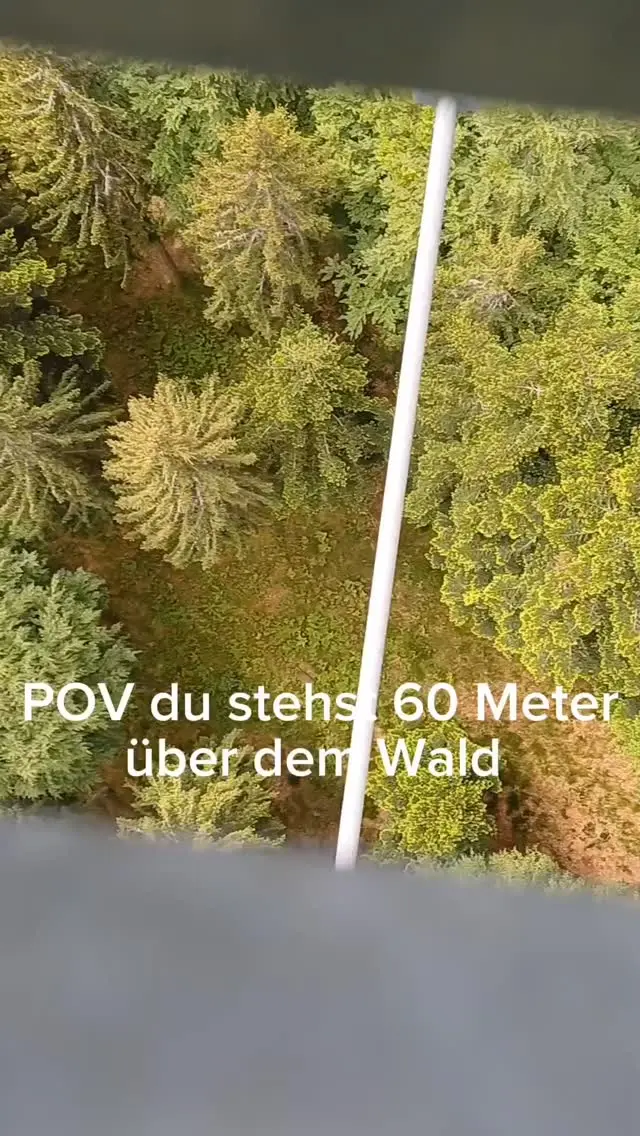 Bist du dabei? 🌲💚

#wildline #naturerlebnis #schwarzwald #nervenkitzel #atemberaubend