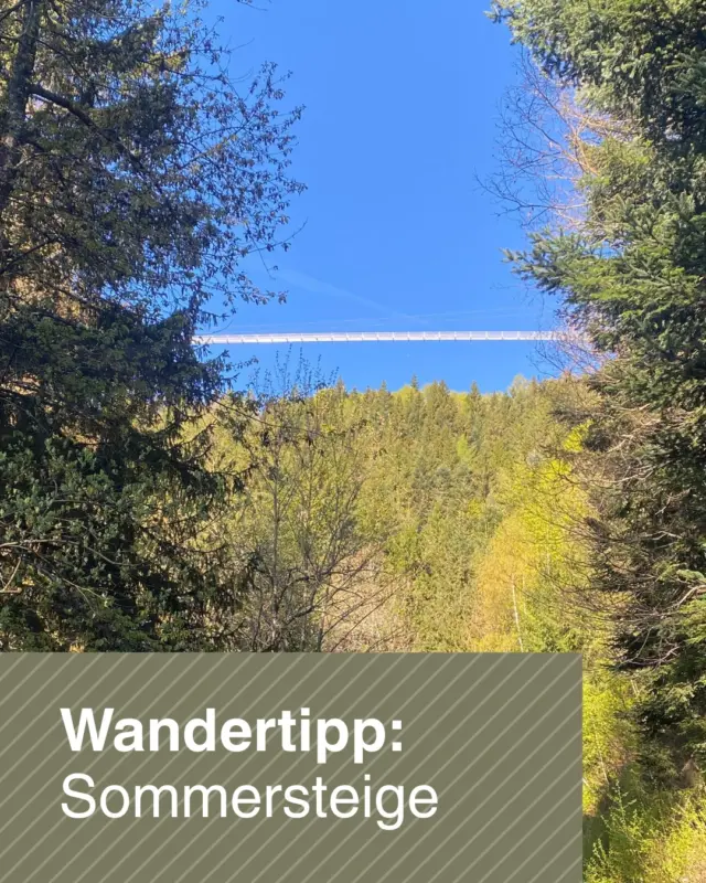 🌲🥾 Der Weg ist das Ziel.

Wer die WILDLINE nicht nur erleben, sondern sich verdienen möchte, startet direkt in Bad Wildbad und nimmt die Sommersteige hinauf zum Sommerberg.

Schritt für Schritt geht es durch den Schwarzwald, vorbei an beeindruckender Natur, frischer Waldluft und immer neuen Ausblicken. Oben angekommen wartet die Belohnung: die WILDLINE Hängebrücke mit ihrem einzigartigen Panoramablick über die Baumwipfel.

✨ Unser Tipp: Lasst euch Zeit, genießt die Ruhe des Waldes und macht unterwegs eine kleine Pause – der Aufstieg gehört genauso zum Erlebnis wie die Überquerung der Brücke.

Wer von euch ist die Sommersteige schon einmal gelaufen? Schreibt es uns in die Kommentare 👇

📍 Bad Wildbad, Start an der Vitaltherme
🌉 Ziel: WILDLINE Hängebrücke
🥾 Aufstieg über die Sommersteige, Länge ca. 2 km, Dauer ca. 1 Std, Aufstieg ca. 290 hm 

#wildline #badwildbad #schwarzwald #sommersteige #wandern #wanderlust #hängebrücke #ausflugstipp #naturgenießen #visitblackforest #schwarzwaldliebe #outdoorabenteuer #wanderdeutschland #naturerlebnis #sommerberg