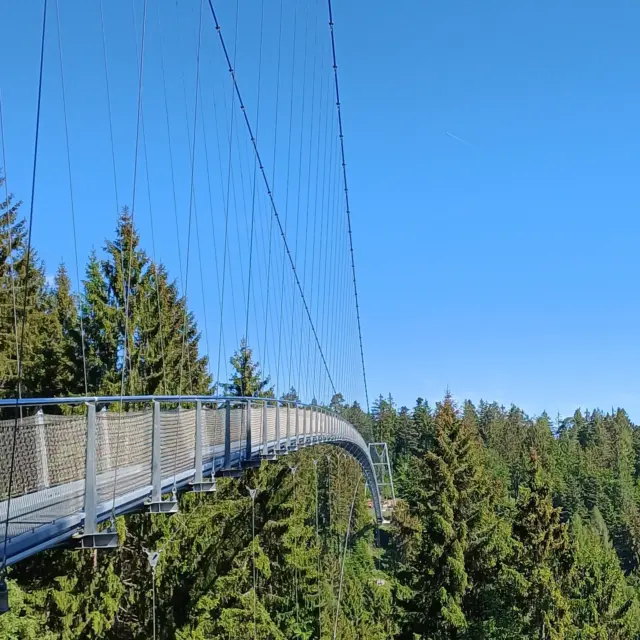 🌿 Der letzte Brückentag des Jahres steht vor der Tür! 🌉✨

Fronleichnam schenkt uns ein langes Wochenende – die perfekte Gelegenheit, dem Alltag zu entfliehen und neue Energie zu tanken.

Steh auf der Brücke, lass den Blick in die Ferne schweifen und spüre das Gefühl von Freiheit. Atme die frische Luft ein, genieße die Ruhe um dich herum und entdecke die Schönheit der Natur mit allen Sinnen.

Manchmal braucht es nicht viel: einen Moment zum Innehalten, einen freien Tag und die Gewissheit, dass die schönsten Erlebnisse oft direkt vor unserer Tür liegen.

🌳 Freiheit fühlen
🌞 Ruhe genießen
🌿 Natur erleben

Mach das Beste aus dem letzten Brückentag des Jahres und schenke dir Zeit für das, was wirklich zählt.

#Fronleichnam #LangesWochenende #Brückentag #NaturGenießen #FreiheitSpüren #Auszeit #ErlebnisAufDerBrücke #DraußenZuhause #NaturLiebe #Wochenendgefühl #Erholung #ZeitFürMich #NaturErleben #Wanderlust #Genussmomente