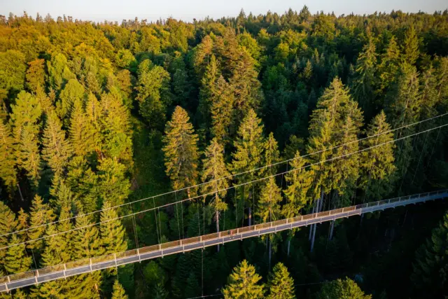 Was gehört zu einem perfekten Ausflugstag?

🌲 Natur genießen.
💚 Frische Bergluft einatmen.
👣 Neue Perspektiven entdecken.

Und ein bisschen Action darf natürlich auch nicht fehlen!

Auf der WILDLINE Hängebrücke erlebst du den besonderen Nervenkitzel, scheinbar schwerelos über der beeindruckenden Landschaft zu schweben. Während unter dir die Tiefe wartet, eröffnet sich vor dir ein atemberaubender Panoramablick.

✨ Das Beste daran: Du musst dich nicht zwischen Abenteuer und Natur entscheiden – die WILDLINE verbindet beides in Perfektion.

Wer würde diesen Ausflug mit dir machen? 👇

📷 Alex Kijak 

#WILDLINE #Hängebrücke #Ausflugstipp #NaturErleben #Abenteuer #Panoramablick #Bergliebe #OutdoorErlebnis #Auszeit #Wanderlust