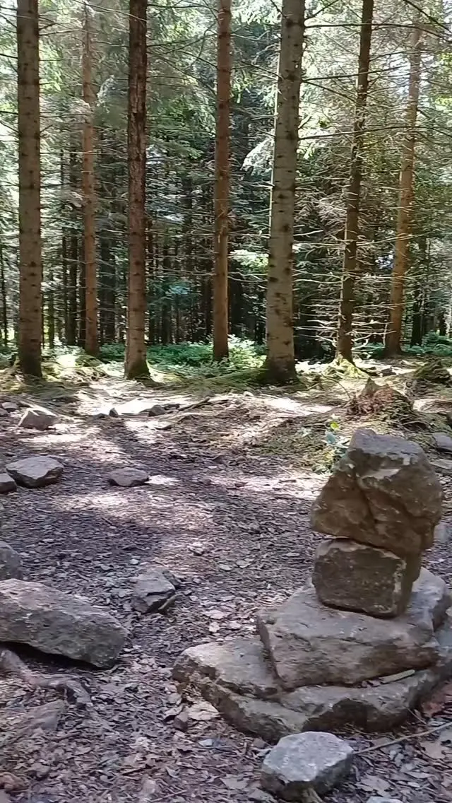 Bauchkribbeln, Natur und glückliche Gesichter. 🌲💚

Lass den Alltag für einen Moment hinter dir. Spüre das leichte Schwanken unter deinen Füßen. Umgeben von Natur und Wald bist du ganz bei dir. 

Das musst du erleben.

#wildline #badwildbad #natur #happyday #moment