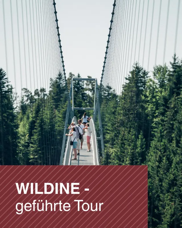 🌉 Geführte Tour auf der WILDLINE – Ein Blick hinter die Kulissen!

Erlebt die WILDLINE einmal aus einer ganz neuen Perspektive:
Bei unserer geführten Tour erfahrt ihr spannende Hintergründe zur Entstehungsgeschichte, zum Bau und viele weitere interessante Details rund um die spektakuläre Hängebrücke.

👣 Gemeinsam mit einem Guide entdeckt ihr in ca. 1 Stunde Wissenswertes und besondere Einblicke, die man bei einem normalen Besuch oft nicht mitbekommt.

📅 Datum: 19. Juli 2026, 10-11 Uhr
⏰ Dauer: ca. 1 Stunde
💶 Preis: 12,00 € pro Person
📍 Ort: WILDLINE
✍️ Anmeldung erforderlich unter willkommen@wildline.de 

Sichert euch euren Platz und erlebt die WILDLINE mit spannendem Insiderwissen!

#WILDLINE #GeführteTour #Hängebrücke #ErlebnisTour #BlackForest #Ausflugstipp #NaturErleben #GeschichteErleben #Sommer2026