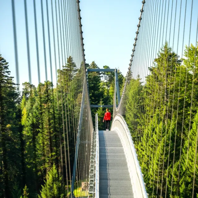 ☀️ Sommerfrische auf der WILDLINE 🌿🌬️

Wenn die Temperaturen steigen, wartet auf der WILDLINE die perfekte Abkühlung:
Ein leichter, angenehmer Wind auf der Brücke, schattige Waldwege und das Gefühl, der Sommerhitze einfach zu entfliehen. 🌳✨

Genießt Urlaubsfeeling mitten in der Natur – mit Weitblick, frischer Luft und ganz viel Zeit für gemeinsame Erlebnisse. Ob mit Kindern, Freunden oder den Großeltern: Die WILDLINE ist das ideale Ausflugsziel für die ganze Familie. 💚

🌲 Raus aus der Hitze
🌬️ Rein in die frische Waldluft
👨‍👩‍👧‍👦 Gemeinsam Natur erleben
🌞 Sommermomente sammeln

Euer kleines Stück Urlaub – direkt vor der Haustür. 🌲
Kommt vorbei und erlebt den Sommer von seiner schönsten Seite! 🌉✨

Buche dein Ticket jetzt schon online: https://wildline.de/ueber-die-bruecke/eintrittspreise-und-tickets/

📷 Alex Kijak

#WILDLINE #Sommerausflug #Familienzeit #NaturErleben #Abkühlung #Urlaubsfeeling #Ausflugstipp #SommerInDerNatur #Hängebrücke #Waldliebe