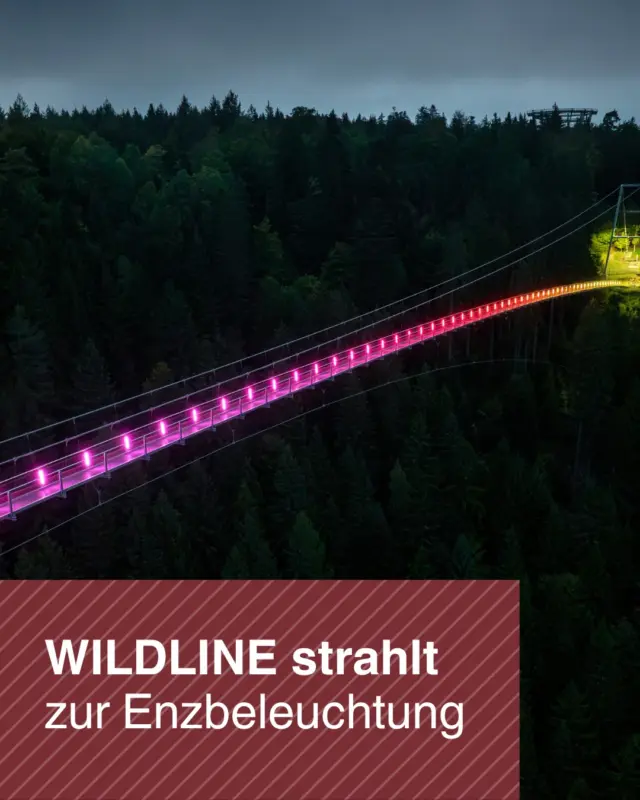 ✨ Enzbeleuchtung in Bad Wildbad – ein Sommerabend voller Magie ✨

Am Samstag, 4. Juli, verwandelt sich der Kurpark Bad Wildbad in ein farbenfrohes Lichtermeer. Live-Musik, kulinarische Leckereien und Cocktails sorgen für sommerliche Stimmung. Den Abschluss bildet ein großes Musikfeuerwerk um 22.30 Uhr. 🌉🌙

Als besonderes Highlight ist die WILDLINE an diesem Abend beleuchtet. Nutze unsere verlängerten Öffnungszeiten bis 20.30 Uhr. 🌲⭐️

So kannst du den Kurpark zunächst von der Hängebrücke aus bewundern. Anschließend spazierst du durch das Lichtermeer, während die WILDLINE in bunten Lichtern über euch am Horizont strahlt. 💫

📆 Datum: 04.07.2026
🕣 Geöffnet bis 20:30 Uhr
🎟️ Letzter Einlass: 20:00 Uhr

Buche dein Tickets jetzt schon bequem online: https://wildline.de/ueber-die-bruecke/eintrittspreise-und-tickets/

📷 Alex Kijak 

#BadWildbad #Enzbeleuchtung #Wildline #Sommerabend #Nordschwarzwald #EventHighlight #Lichterzauber #Ausflugstipp