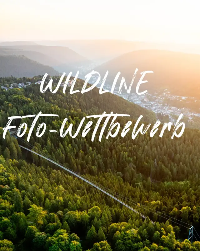 📸 WILDLINE Fotowettbewerb – den ganzen Juli! 🌿✨

Der ganze Juli steht bei uns im Zeichen eurer schönsten WILDLINE-Momente.
Ob mit der Familie, euren Liebsten oder Freunden – wir möchten die besonderen Augenblicke einfangen, die WILDLINE für euch unvergesslich machen. ❤️

Egal ob mutig oder noch etwas unsicher.
Egal ob jung oder alt.
Jeder Moment zählt und jede Geschichte ist einzigartig.

🎁 Auf die Gewinner warten tolle Preise!

Also: Schickt uns eure schönsten, spannendsten und emotionalsten WILDLINE-Momente und werdet Teil unseres Fotowettbewerbs.
Wir freuen uns auf eure Einsendungen! 📷✨

Email an willkommen@wildline.de

📷 Alex Kijak 

#WILDLINE #Fotowettbewerb #WildlineMomente #Sommer2026 #GemeinsamErleben